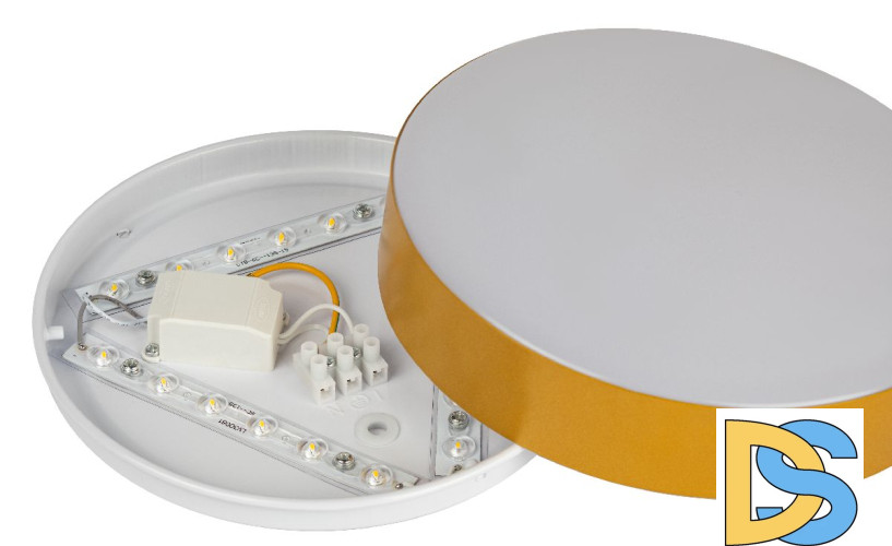 Потолочный светильник Эра Relict 22 SPB-6-20 4К MG Б0059509