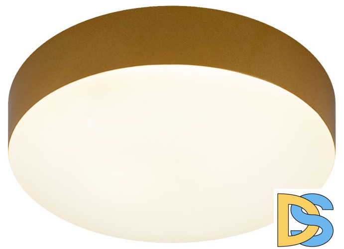 Потолочный светильник Эра Relict 22 SPB-6-20 4К MG Б0059509