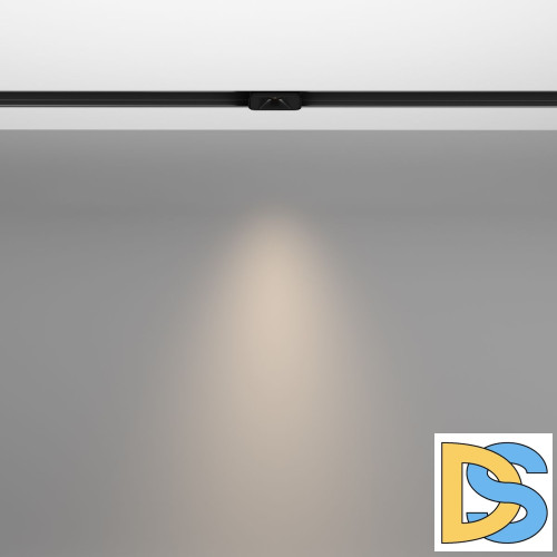 Трековый магнитный светильник Maytoni Points S TR100-2-2W4K-S-B