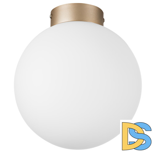 Потолочный светильник Lightstar Globo 812023
