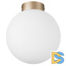 Потолочный светильник Lightstar Globo 812023
