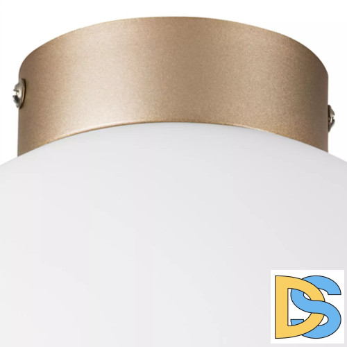 Потолочный светильник Lightstar Globo 812023