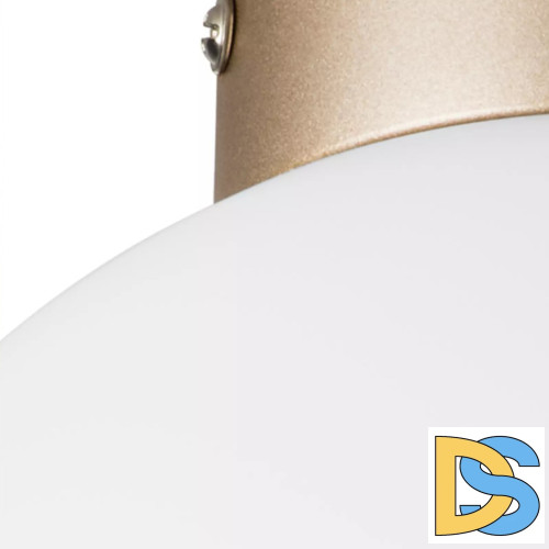 Потолочный светильник Lightstar Globo 812023