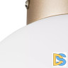 Потолочный светильник Lightstar Globo 812023
