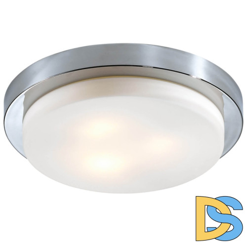 Потолочный светильник Odeon Light Holger 2746/3C