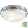 Потолочный светильник Odeon Light Holger 2746/3C