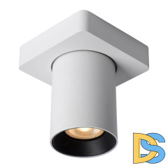 Спот Lucide NIGEL 09929/05/31