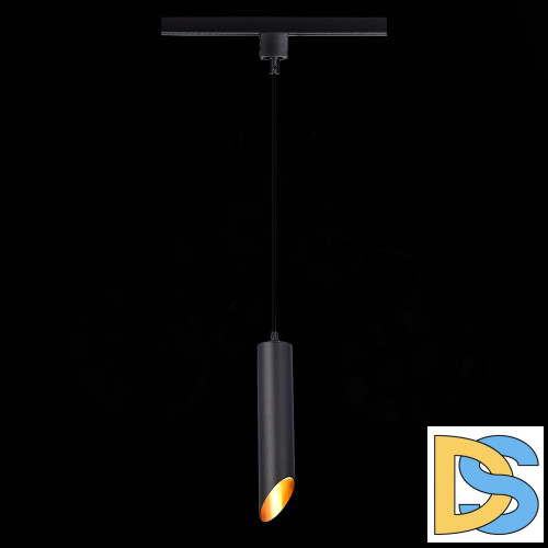Трековый однофазный светильник ST Luce ST152.406.01