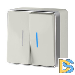 Выключатель двухклавишный с подсветкой Werkel Gallant слоновая кость W5020103 4690389164187