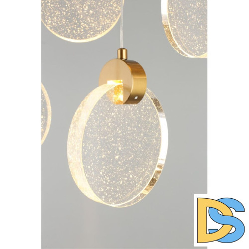 Подвесная люстра Aployt Frederik APL.054.06.45