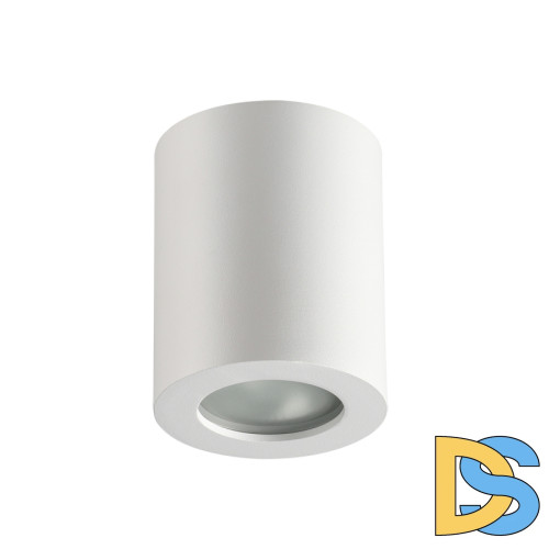 Потолочный светильник Odeon Light Aquana 3571/1C