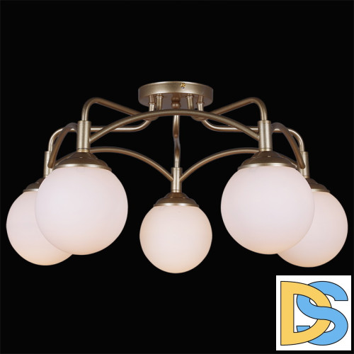 Потолочная люстра Reluce 52079-0.3-05