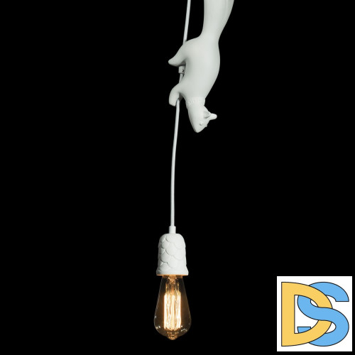 Подвесной светильник Loft IT Sherwood 10093