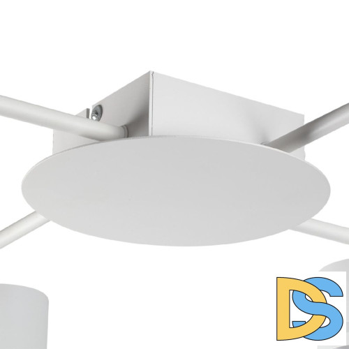 Потолочная люстра Lumion Gareta 8235/12C