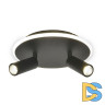 Настенно-потолочный светильник Escada 20046SMA/02LED BK