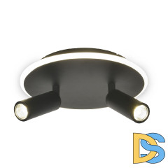 Настенно-потолочный светильник Escada 20046SMA/02LED BK