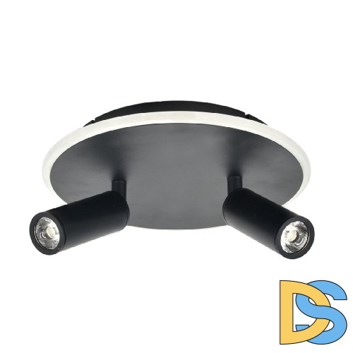 Настенно-потолочный светильник Escada 20046SMA/02LED BK