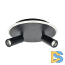 Настенно-потолочный светильник Escada 20046SMA/02LED BK