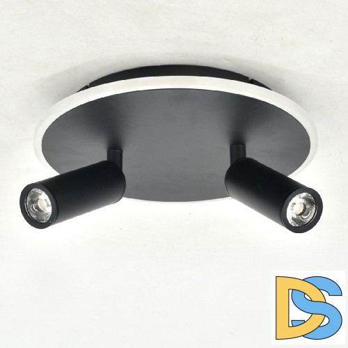 Настенно-потолочный светильник Escada 20046SMA/02LED BK