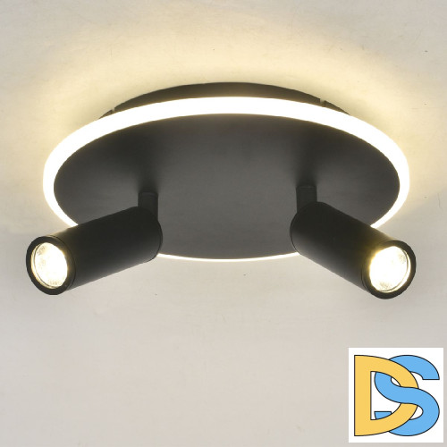 Настенно-потолочный светильник Escada 20046SMA/02LED BK
