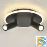Настенно-потолочный светильник Escada 20046SMA/02LED BK