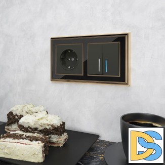 Рамка на 2 поста (золото/черный) WL17-Frame-02