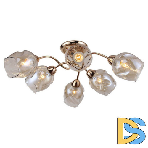 Потолочная люстра Lussole Lgo Cochise GRLSP-8086