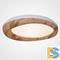 Потолочный светильник ImperiumLoft Runis 219477-26