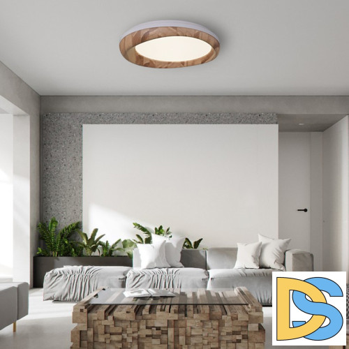 Потолочный светильник ImperiumLoft Runis 219477-26