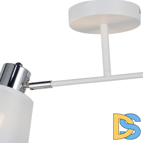 Потолочный светильник Illumico IL6116-2COU-79 WH CR Abelie