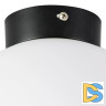 Потолочный светильник Lightstar Globo 812027