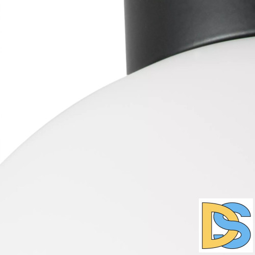 Потолочный светильник Lightstar Globo 812027