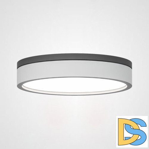 Потолочный светильник ImperiumLoft Kier 101707-26