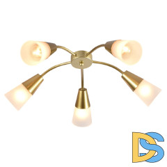 Потолочная люстра Escada Aquilegia 1100/5P Gold