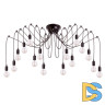 Подвесная люстра Loft IT Spider Loft1162/16