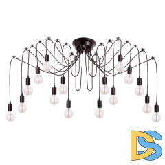 Подвесная люстра Loft IT Spider Loft1162/16