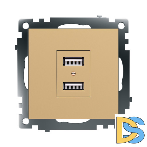 Розетка 2-местная USB Stekker Катрин GLS10-7115-08 49229