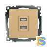 Розетка 2-местная USB Stekker Катрин GLS10-7115-08 49229