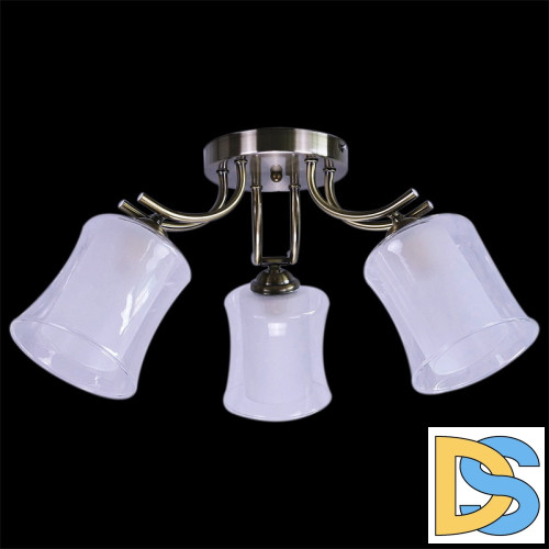 Потолочная люстра Reluce 07955-0.3-03