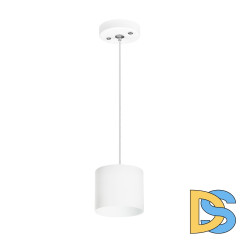 Подвесной светильник Lightstar Rullo (213486+590086) RP3486