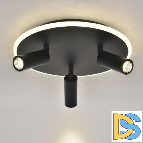 Потолочный светильник Escada 20046SMA/03LED BK