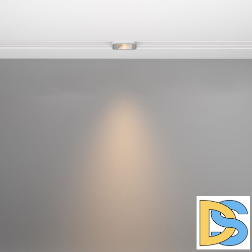 Трековый магнитный светильник Maytoni Points S TR100-2-2W3K-S-W