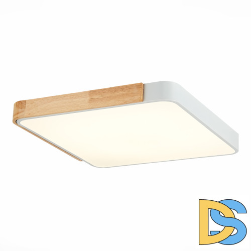 Потолочный светильник Evoluce Festa SLE201252-01