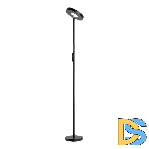 Торшер Lussole Carmel LSP-0901-SE