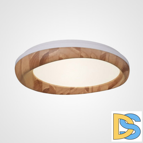 Потолочный светильник ImperiumLoft Runis 219478-26