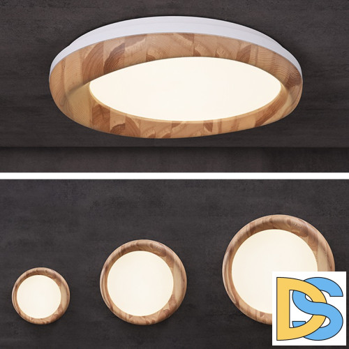 Потолочный светильник ImperiumLoft Runis 219478-26