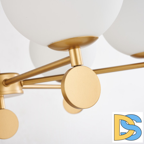 Подвесная люстра Favourite Absolute 2928-6P