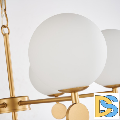 Подвесная люстра Favourite Absolute 2928-6P