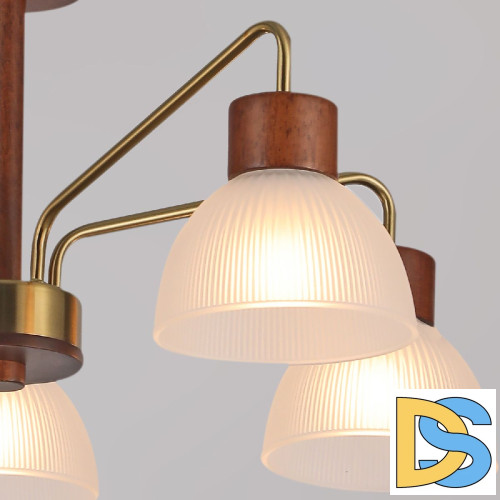 Люстра на штанге Illumico IL0286-5C-79 BR