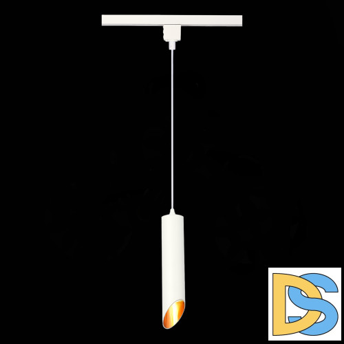 Трековый однофазный светильник ST Luce ST152.506.01